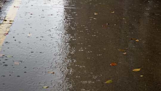 大自然雨季下雨雨滴树林树叶雨水