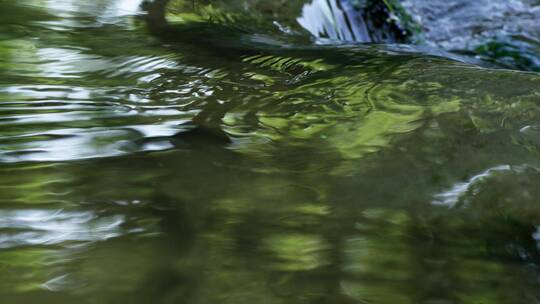 天然清澈的泉水流过岩石的边缘视频素材模板下载