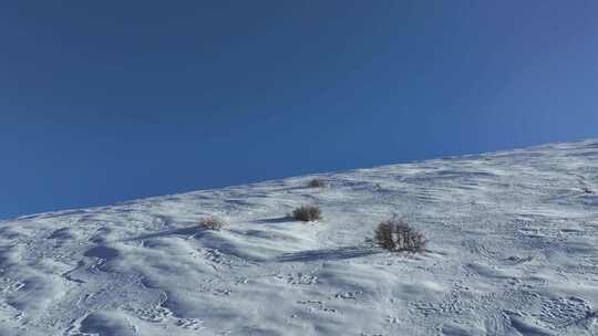 实拍登雪山画面