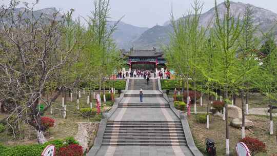 春山摄影，定格春光，新甫山景区春意盎然