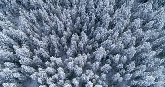 雪域雾凇航拍