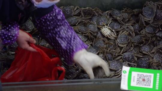 螃蟹装袋挑河蟹公蟹母蟹买卖水产海鲜市场