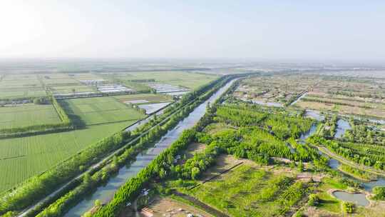 生态环境洪泽湖湿地风景4K航拍