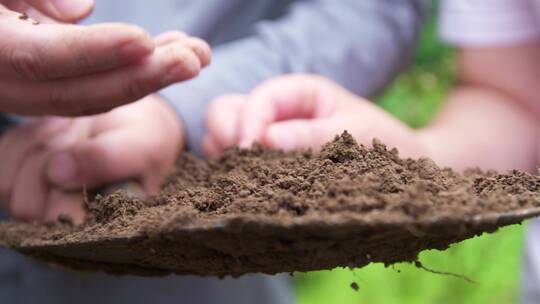 工作人员手捧土样 研究土壤成分