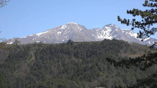 森林和雪山景观