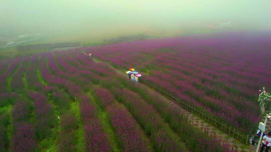 唯美意境，大片即视感，治愈系风景，大自然