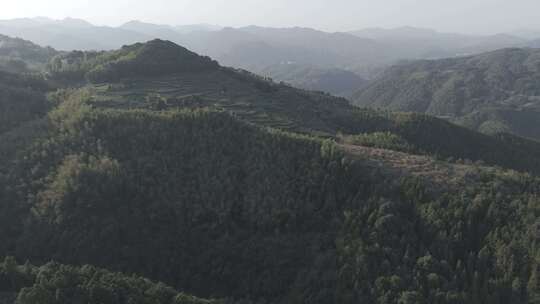 4K航拍大山茶山素材