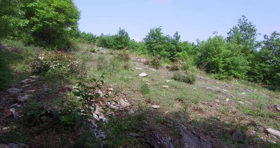 荒山野岭