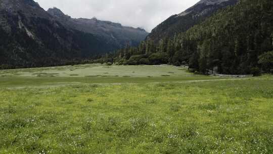 4k超清川西高原航拍湖泊牧场山谷