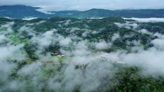 自然森林穿过云雾绿水青山航拍视频