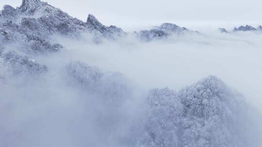 冬天雪景树林雾凇