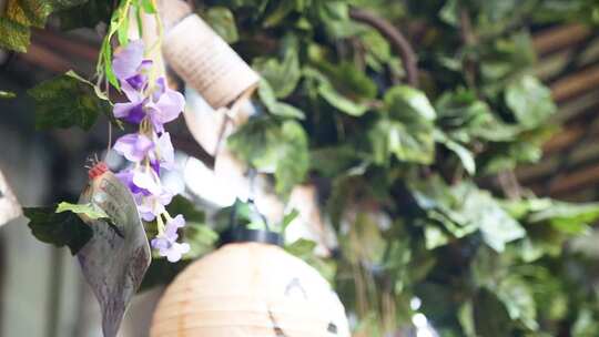 文艺 清新 书店 咖啡馆