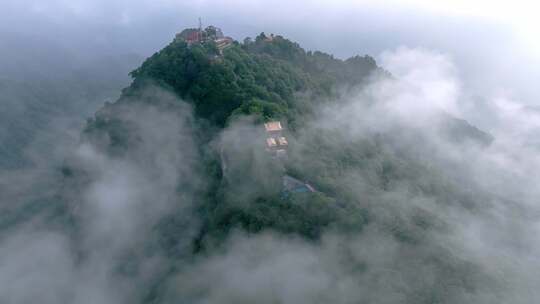 山川云雾 高山 森林植被