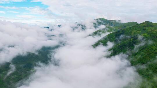 湖北神农架神农顶森林山谷自然风光延时