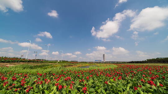 青岛胶州机场鲜花塔台全景延时