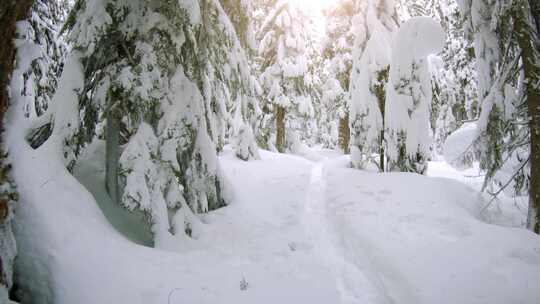 斯诺夸米山口，雪，雪鞋，旅程