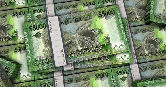 圭亚那美元钞票包装表面