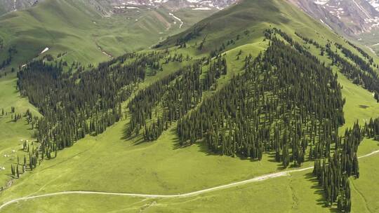中国新疆伊犁那拉提草原自然风景