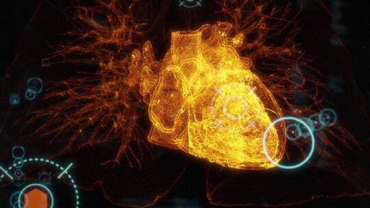 3D三维人体身体器官机能透视动画展示-心脏