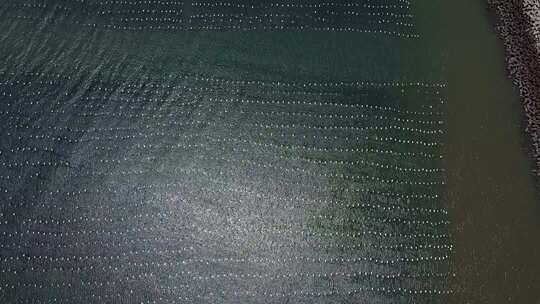 深色皮革表面特写