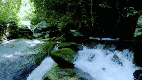 高黎贡山的水溪流4K视频素材模板下载