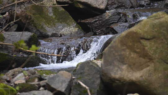 清澈的山间溪水 河流 溪流 溪水