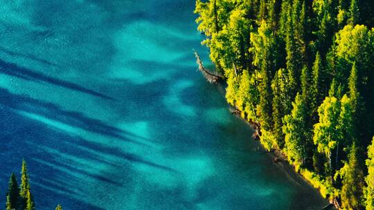 航拍绿色森林河流大自然风景