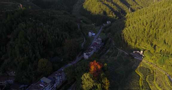 浙江丽水市松阳高亭古村航拍