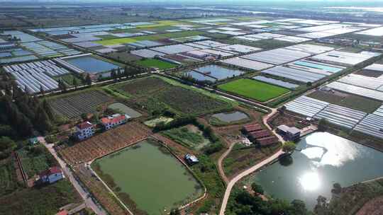 航拍乡村农业绿色稻田田园风景