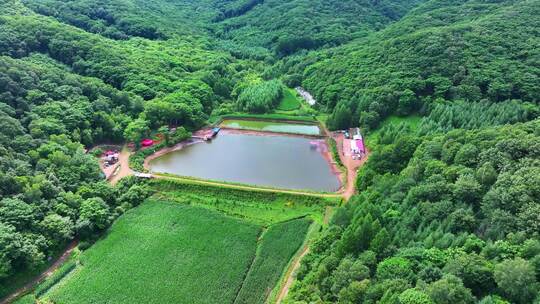 辽宁抚顺新宾青山绿水乡村振兴