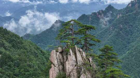 美丽中国河南伏牛山老界岭自然风光