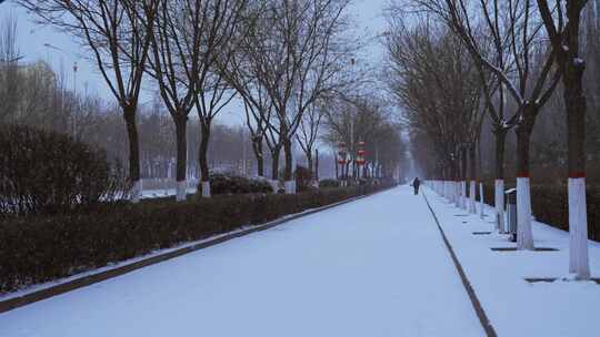 城市街道人文下雪雪景