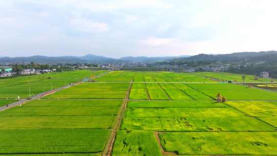 怀化安江高标准农田示范基地航拍