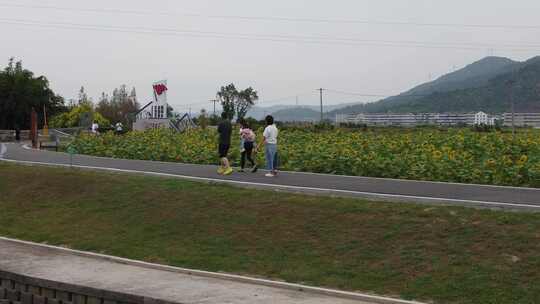 浙江瑞安曹村镇风光