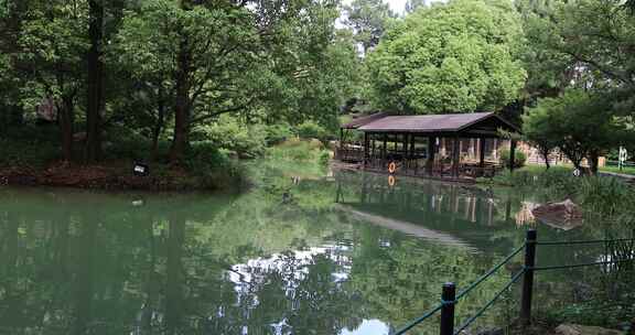 美丽的湖水绿色森林景观 常熟虞山宝岩景区