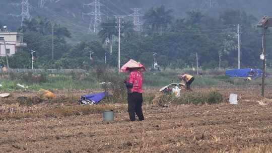 惠州万亩现代化实验农田航拍