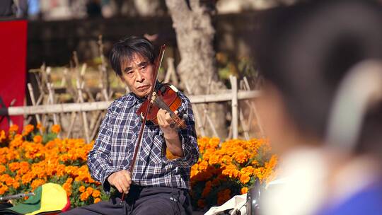 4K升格实拍退休生活深秋在公园拉小提琴老人