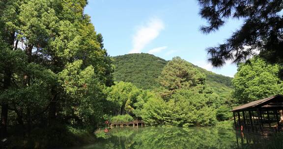 美丽的湖水绿色森林景观 常熟虞山宝岩景区