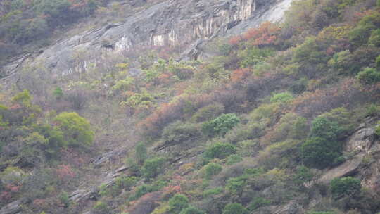 秦岭山水风景 秦岭 秋季 秦岭山脉