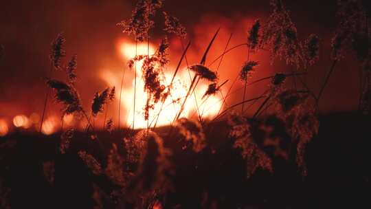 火灾大火山火现场