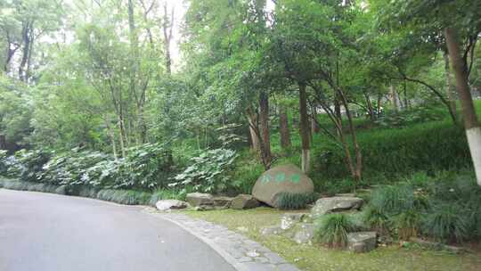 风景景区的沿途小道路