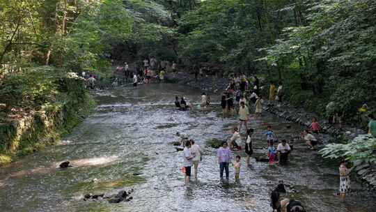 夏季避暑 山涧溪流玩水人群