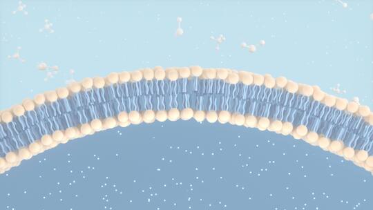 细胞膜与分子结构 3D渲染