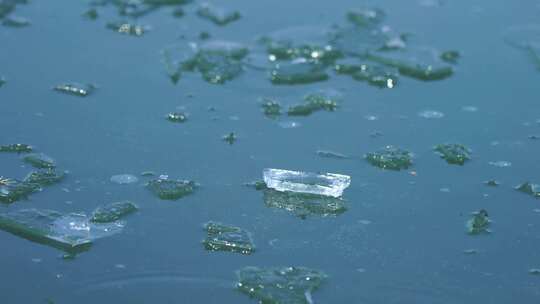 寒潮来临气温下降南京玄武湖公园湖面结冰