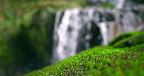 大自然  春天 瀑布 山泉 苔藓