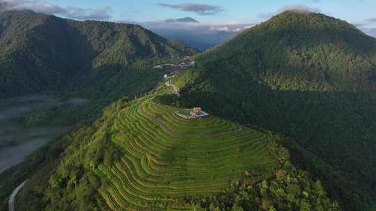 西藏墨脱县背崩乡格林村高山茶园风光航拍