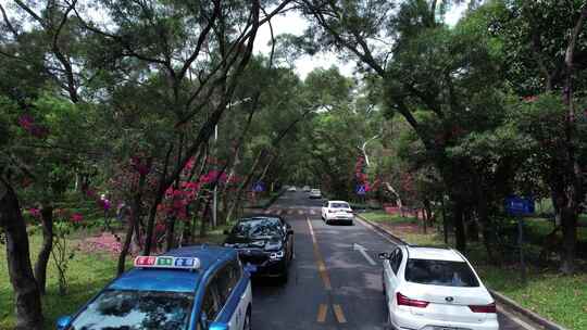 华侨城香山中街道路交通车流