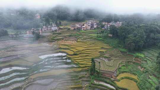 云南红河哈尼梯田云海日落雨幕