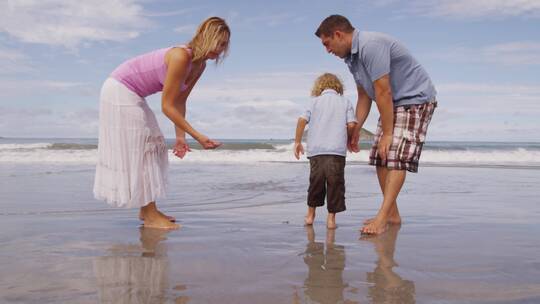 一家人在沙滩上捡拾贝壳