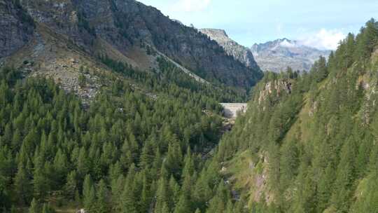 无人机，Alpe Devero，树木，山